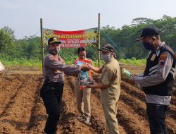 Peduli, Polsek Wonotunggal Bagikan Bibit Jagung