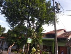 Seorang Pria Tewas Tersengat Listrik Bertegangan Tinggi