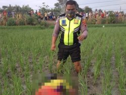 Seorang Pria Paruh Baya Ditemukan Meninggal Dunia Di Area Persawahan