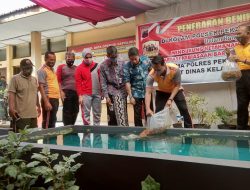 Polsek Pekalongan Barat Tebar Bibit Ikan Nila Dan Gurami,Guna Tingkatan Ketahanan Pangan