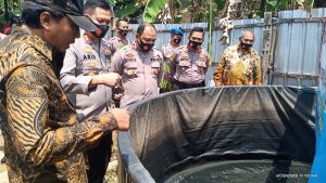 Program Ketahanan Pangan Berhasil, Kapolres Pekalongan Pimpin Panen Awal Budidaya Ikan Lele