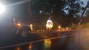 Pohon Tumbang,Warga Lakukan Evakuasi