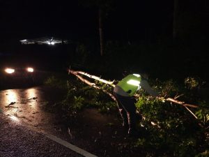 Bergerak Cepat Polisi Singkirkan Pohon Tumbang