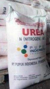 Petani Desa Pagenjahan Keluhkan Kelangkaan Pupuk Bersubsidi