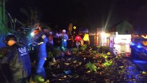 Hujan Deras Disertai Angin Kencang, Pohon Tumbang Timpa Dua Mobil