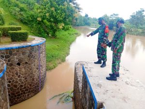 Intensitas Hujan Tinggi, Babinsa Cek Bendungan