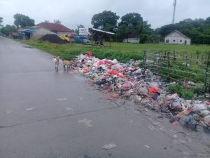 Dinas Terkait Harus Peduli, Tumpukan Sampai Diduga Jadi Pemicu Bau Tak Sedap Menjadi Sorotan Publik