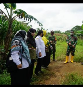 Dandim Batang Tinjau Lokasi, Pastikan Sasaran TMMD Sengkuyung TA 2021