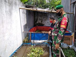 Giat Komsos, Babinsa Joyotakan Sambangi Budidaya Lele