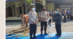 Salurkan Hewan Korban, Kapolres Pekalongan Imbau Warga Tidak Ada Takbir Keliling