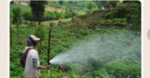 Sepanjang 1.004m, Jalan Pra TMMD Mulai Dirasakan Manfaatnya Oleh Masyarakat Petani Gerlang
