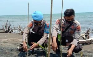 “Mageri  Segoro”, Polres Pekalongan Tanam 2.500 Pohon Mangrove Di Daerah Pesisir