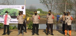 Jajaran Polres Pekalongan, “Mageri Segoro ” Tanam Ribuan Bibit Pohon Mangrove
