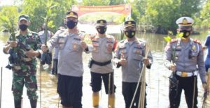 Mageri Segoro, Polres Pekalongan Kembali Tanam Ribuan Bibit Tanaman Mangrove