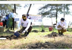 Mageri Segoro, Polres Batang Tanam 60 Ribu Mangrove Sepanjang Pesisir Pantai
