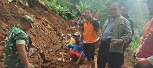 Curah Hujan Tinggi,Tebing Setinggi 25 Meter Longsor Tutupi Irigasi Sawah