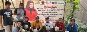 Petani Binaan Dewi Aryani Sukses Panen Melon Jepang Di Desa Adiwerna