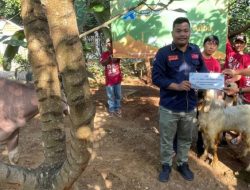 Hari Raya Idul Adha PT Aquila Transindo Utama Berbagi 5 Kambing Dan 1 Kerbau .