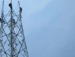 Tower Telekomunikasi di Kabupaten Pekalongan Diduga Beroperasi Tanpa Izin PBG dan SLF