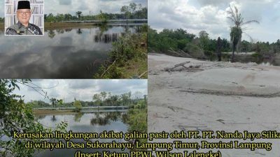 Warga Menjerit! Tambang Pasir Silika di Lampung Timur Ancam Keselamatan dan Rusak Lingkungan, PPWI Desak Penegakan Hukum!