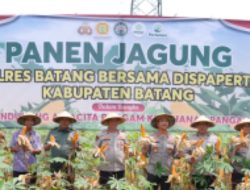 Dukung Asta Cita Presiden, Polres Batang Panen Jagung di Lahan 177 Hektar