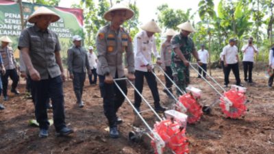 Polres Batang Gelar Penanaman Jagung Serentak di Lahan Perhutani