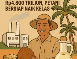 Hilirisasi Kelapa Jadi Andalan Baru: Potensi Ekonomi Capai Rp4.800 Triliun, Petani Bersiap Naik Kelas