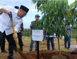 Undip Gandeng Indomaret Perluas Pasar Kelengkeng Khas Batang
