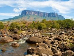 Dari Negeri Minyak ke Krisis Kemanusiaan: Apa yang Salah dengan Venezuela?