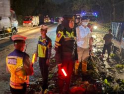 Jalur Pantura Subah Kembali Lancar Usai Tertutup Pohon Tumbang