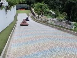 Forest Kopi Kembang Langit Park, Rekomendasi Tempat Healing Terbaik di Batang