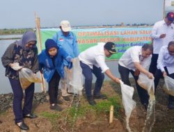 Pembangunan Giant Sea Wall hingga Batang Masih Digodok, Pemerintah Pusat Petakan Solusi