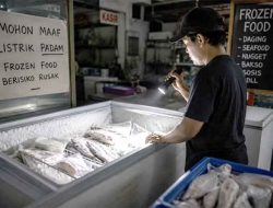 Pemadaman Listrik Bergilir di Jawa Rugikan Pengusaha Frozen Food, Stok Daging dan Seafood Terancam Rusak