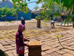 Karangasem Selatan Berpeluang Jadi Sentra Kerupuk, Pemkab Batang Dorong Inovasi UMKM