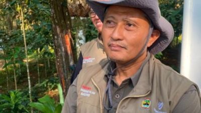 Penemuan, Raja Udang Kalung Biru yang Terancam Punah Di Batang