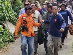 Macan Kumbang Masuk Rumah Warga di Batang, Berhasil Dievakuasi BKSDA