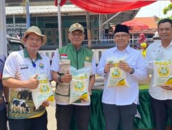 Siapkan Kandang Komunal, Pemkab Batang Dorong Peternakan Sapi Perah Berbasis Rakyat