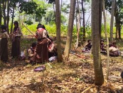 Pramuka SMPN 7 Batang, Gelar Jelajah Asyik