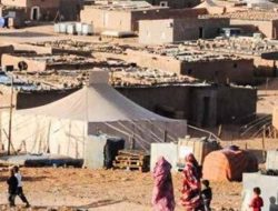 Skandal Penyelewengan Bantuan Kemanusiaan di Kamp Tindouf: Keuangan Polisario Dipertanyakan, Wilson Lalengke Desak Pembubaran Kamp